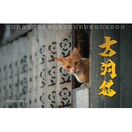 幫助浪浪 (流浪貓) 2027 義賣雙封面座枱月曆 - 本地攝影師為了紀録香港貓咪點滴,穿越大街小巷, 到處尋蹤覓跡,透過月曆和大家分享!! 