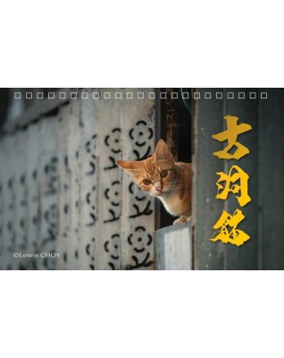 幫助浪浪 (流浪貓) 2027 義賣雙封面座枱月曆 - 本地攝影師為了紀録香港貓咪點滴,穿越大街小巷, 到處尋蹤覓跡,透過月曆和大家分享!! 