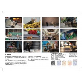 幫助浪浪 (流浪貓) 2027義賣掛曆- 本地攝影師為了紀録香港貓咪點滴,穿越大街小巷, 到處尋蹤覓跡,透過月曆和大家分享!!