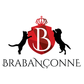 Brabanconne 爸媽寵
