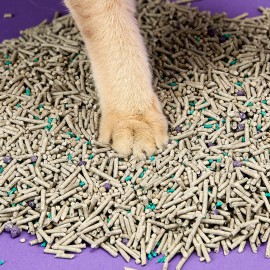 Petkit Pura Cat 5合1活性碳除臭混合砂 7L