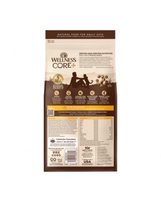 Wellness CORE®無穀物室內貓 - 海洋魚配方 11lb (只有1包, 23-05-2027到期)